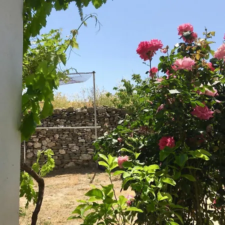 Maison De Bizou Дом отдыха *