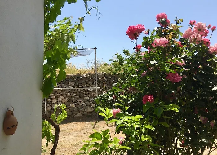 Maison De Bizou Дом отдыха *