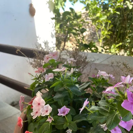 Maison De Bizou Exámbela