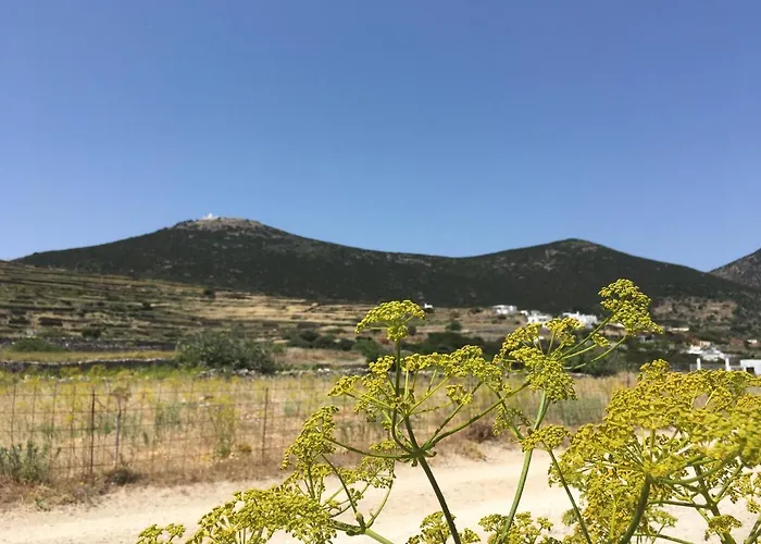 Semesterbostad Maison De Bizou Exámbela